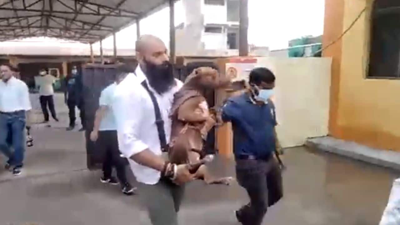 lucknow pitbull released by municipal corporation