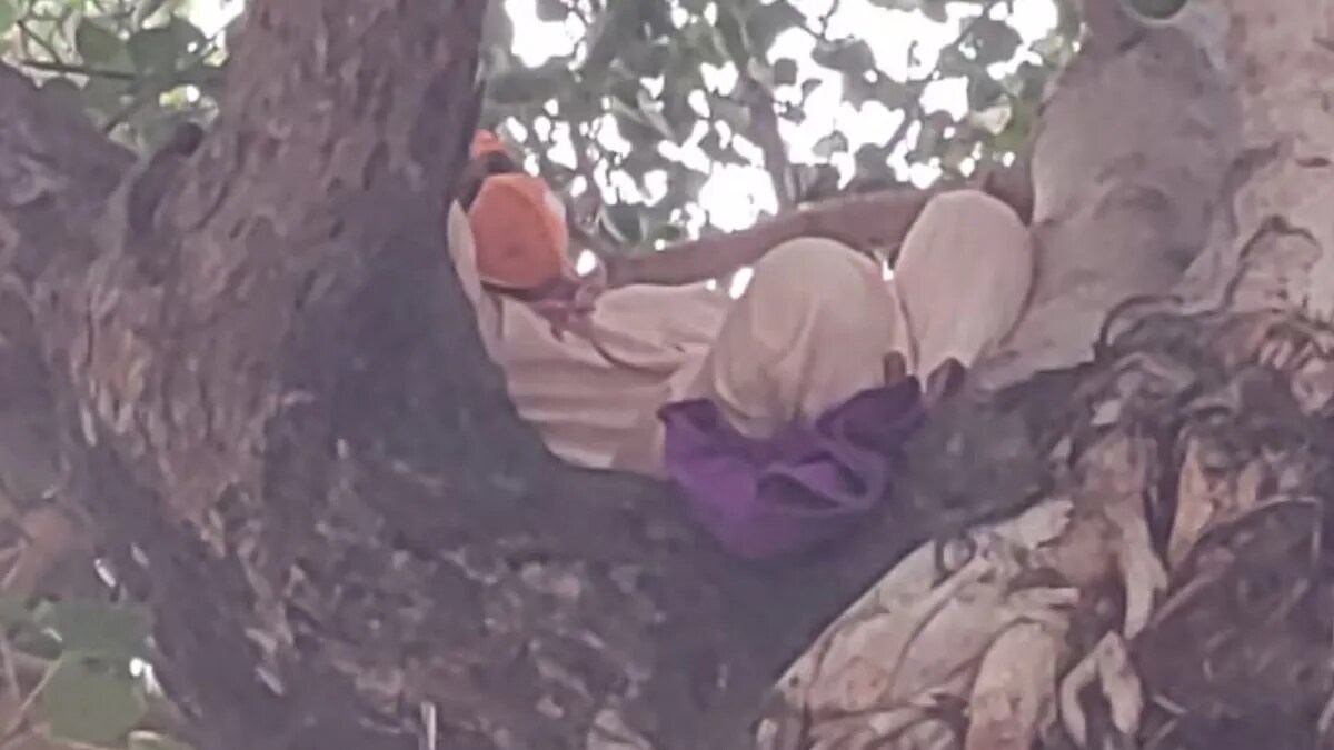 UP lucknow man climbing a tree and demand to meet cm yogi adityanath