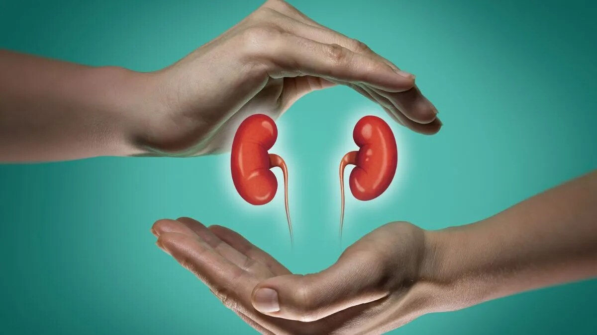 kidney donation 